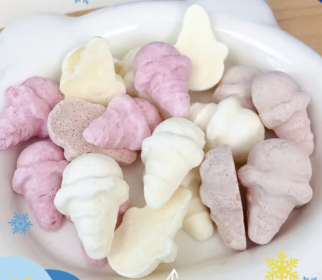 Freeze-Dried Ice-Cream